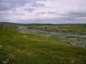 Where the river runs through Where the river runs through