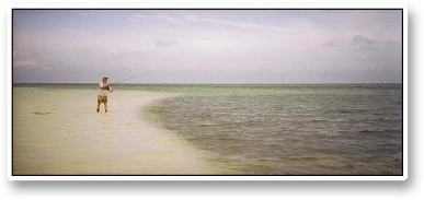 Casting for barracuda Casting for barracuda