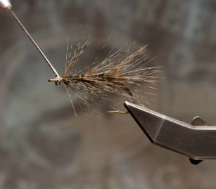 Pavo Real - Step 25 Pavo Real - Step 25