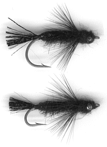 2 black flies