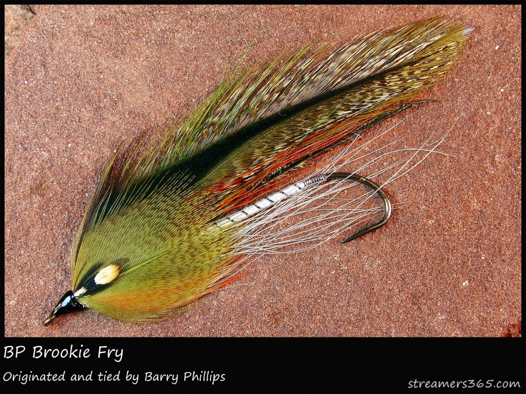 #270 BP Brookie Trout Fry - Barry Phillips #270 BP Brookie Trout Fry - Barry Phillips