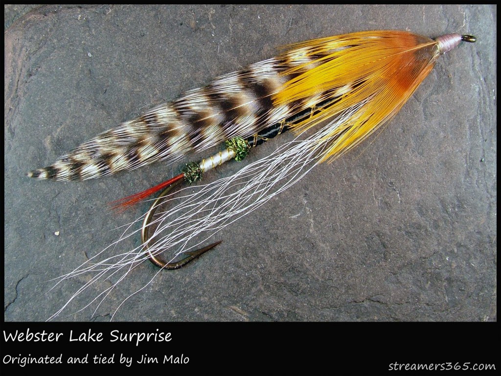 #309 Webster Lake Surprise - Jim Malo #309 Webster Lake Surprise - Jim Malo