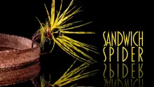 Video thumb for Sandwich Spider