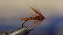Video thumb for October Caddis Soft Hackle