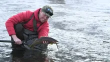 Video thumb for Trout Unlimited on the Little Truckee