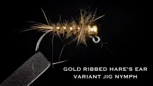 Video thumb for Gold Ribbed Hare's Ear