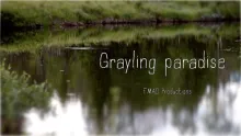 Video thumb for Grayling Paradise