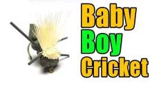 Video thumb for Baby Boy Hopper (Cricket) Fly Tying Instructions
