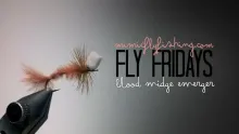 Video thumb for Blood Midge Emerger