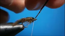 Video thumb for Wiggle Nymph