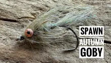 Video thumb for Spawn Autumn Goby