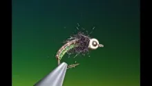Video thumb for Simple Caddis Larva
