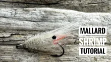 Video thumb for Mallard Shrimp