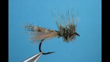 Video thumb for Henry's Fork Caddis
