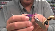 Video thumb for Garden Hackle Variant