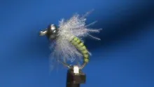 Video thumb for Beadhead CDC Caddis Larva