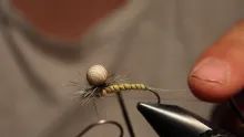 Video thumb for Ephemera Danica/Vulgata emerger