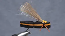 Video thumb for Super Simple Cicada