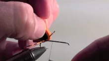Video thumb for Chernobyl Ant