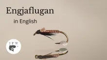 Video thumb for Engjaflugan
