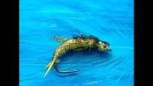 Video thumb for Golden Stonefly Nymph