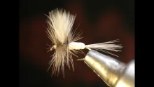 Video thumb for White Foam Body Mayfly