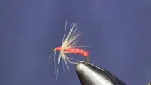 Video thumb for Gray Hackle Red