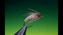 Video thumb for Antron caddis pupa