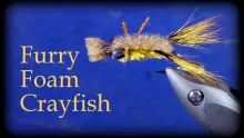 Video thumb for Furry Foam Crayfish