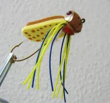 User submitted picture: Froggy for bass