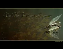 User submitted picture: bibio