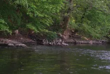 User submitted picture: Small stream from the sou...