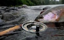 User submitted picture: "Rainbow" in the rain