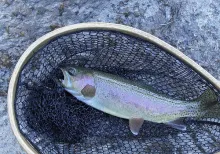 User submitted picture: 11 Mile Canyon Rainbow