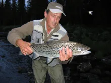 User submitted picture: Oh Sweden !!