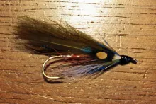 User submitted picture: Size 8 Brook Trout Stream...