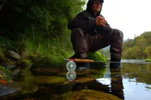 User submitted picture: resting in green