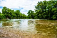 User submitted picture: Golden brown water