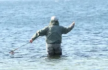 User submitted picture: It is not always as simpl...